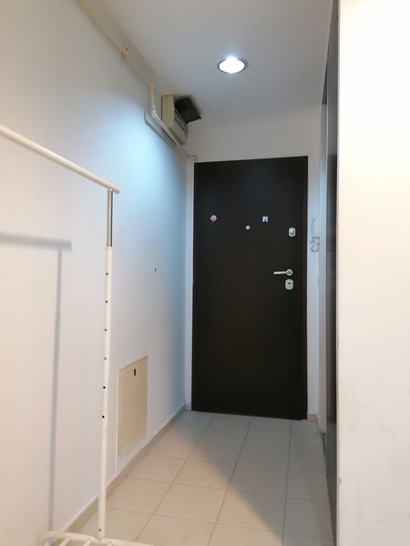 Colentina, Rose Garden,