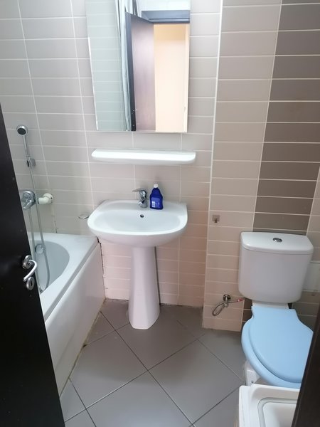 Colentina, Rose Garden,